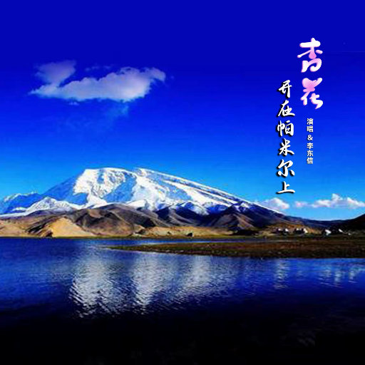 老头玩老头456HD
